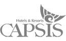 Hotel Capsis
