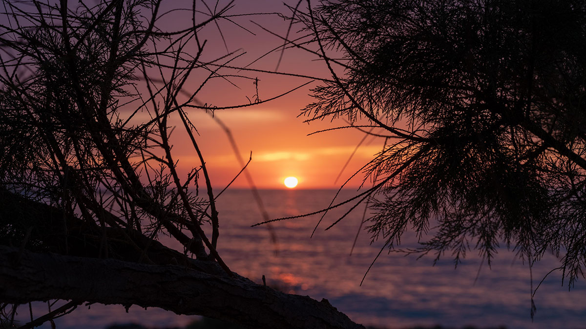 Maya Beach Hotel - NR