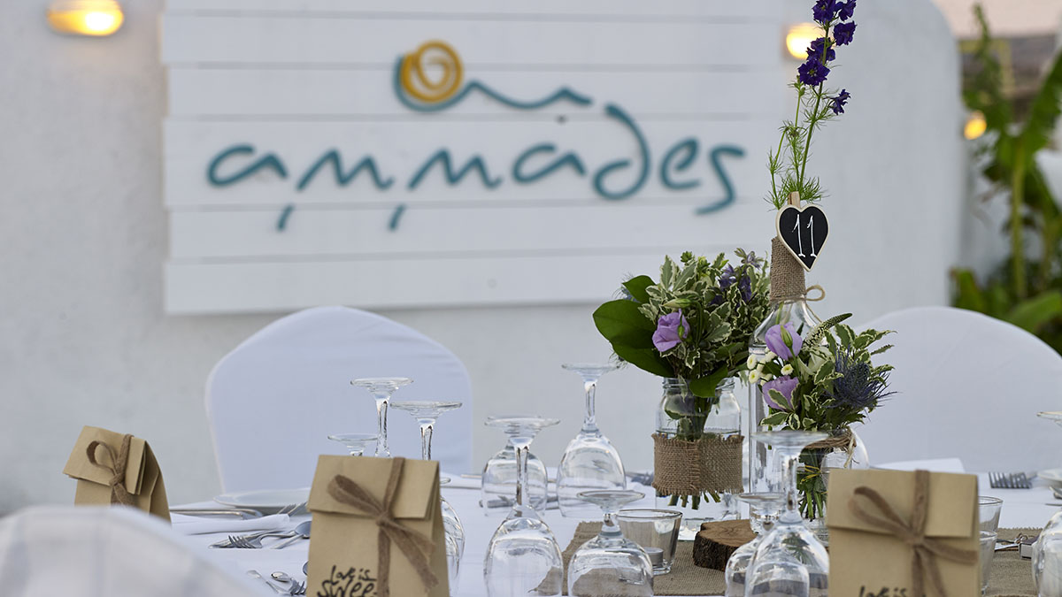 Epsilon Ammades Hotel - NR