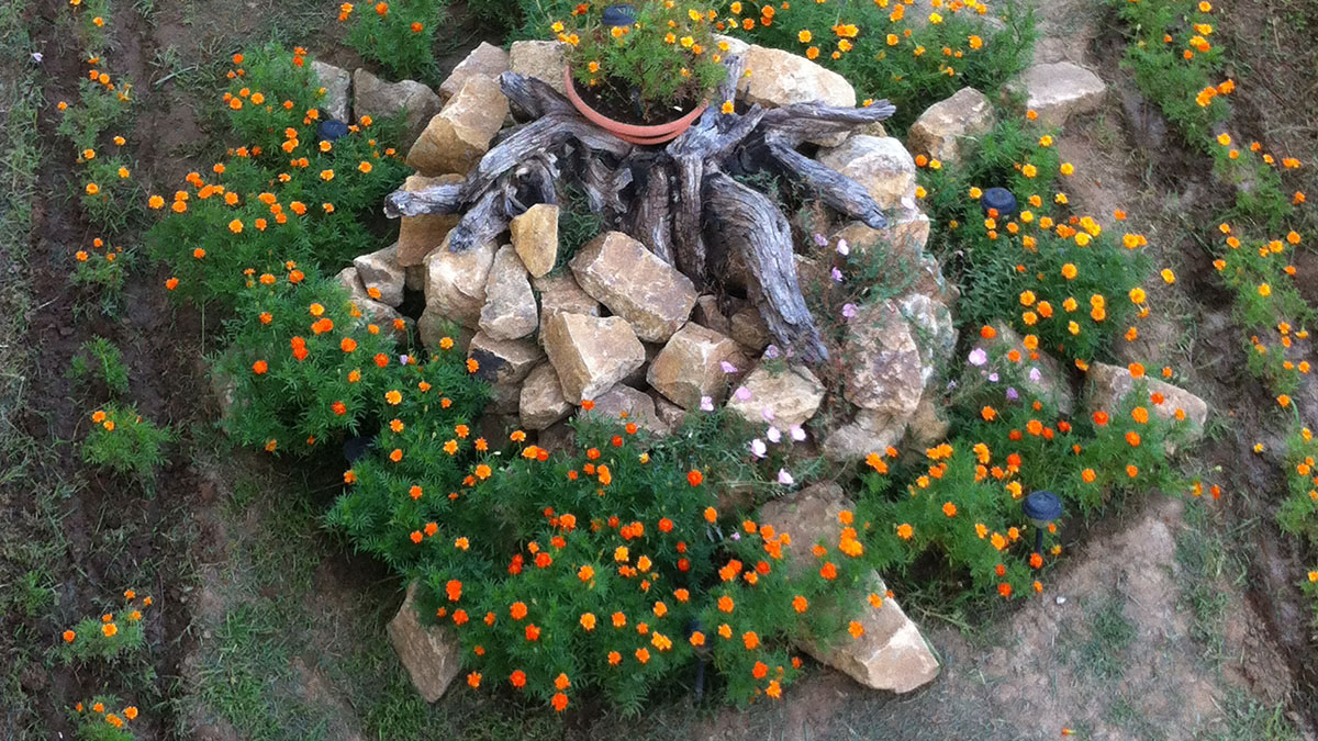 Loxandra Studios - NR