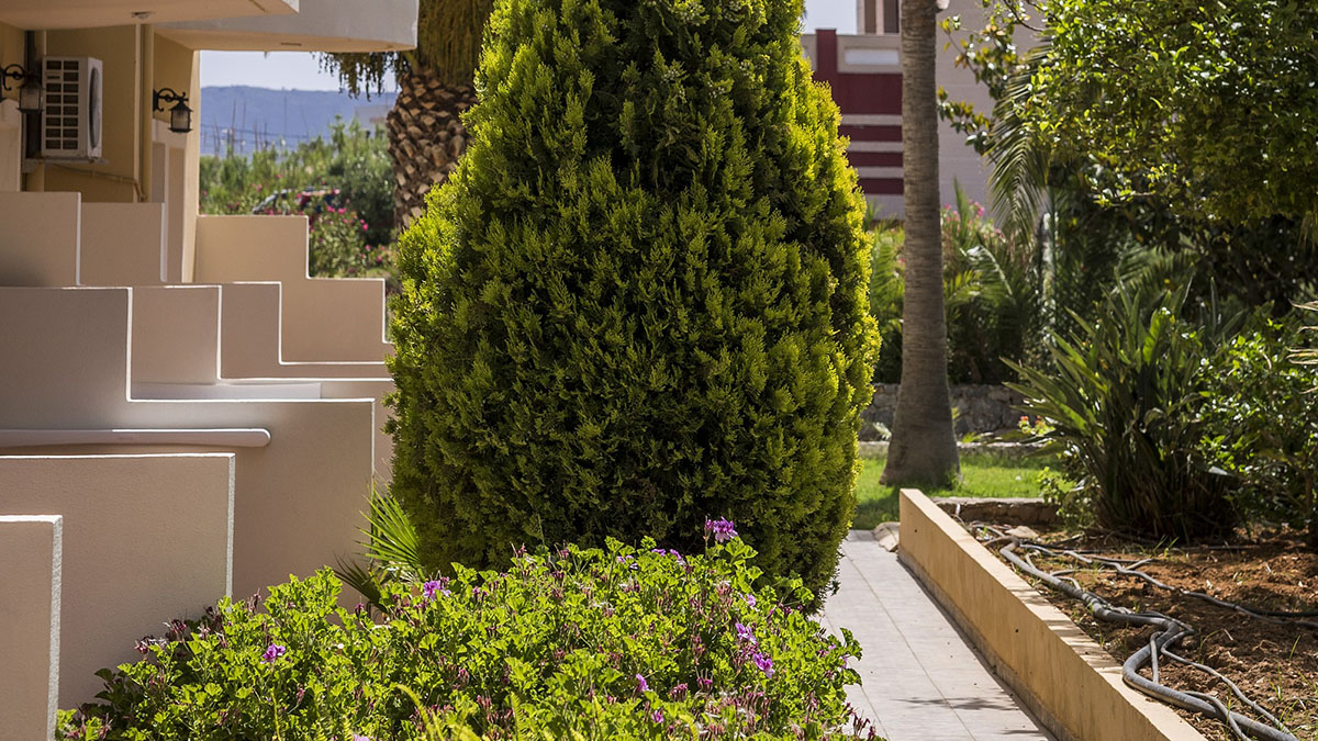 Vantaris Garden - NR