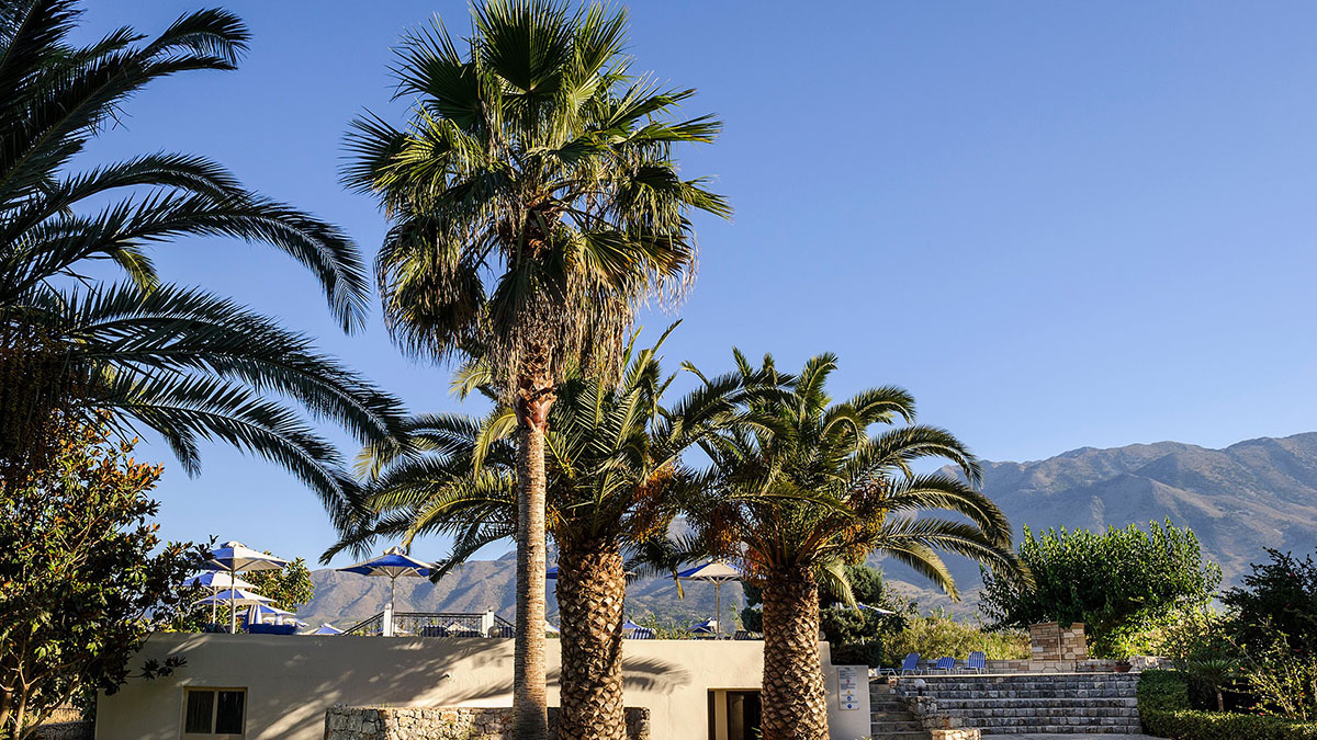 Vantaris Garden - NR