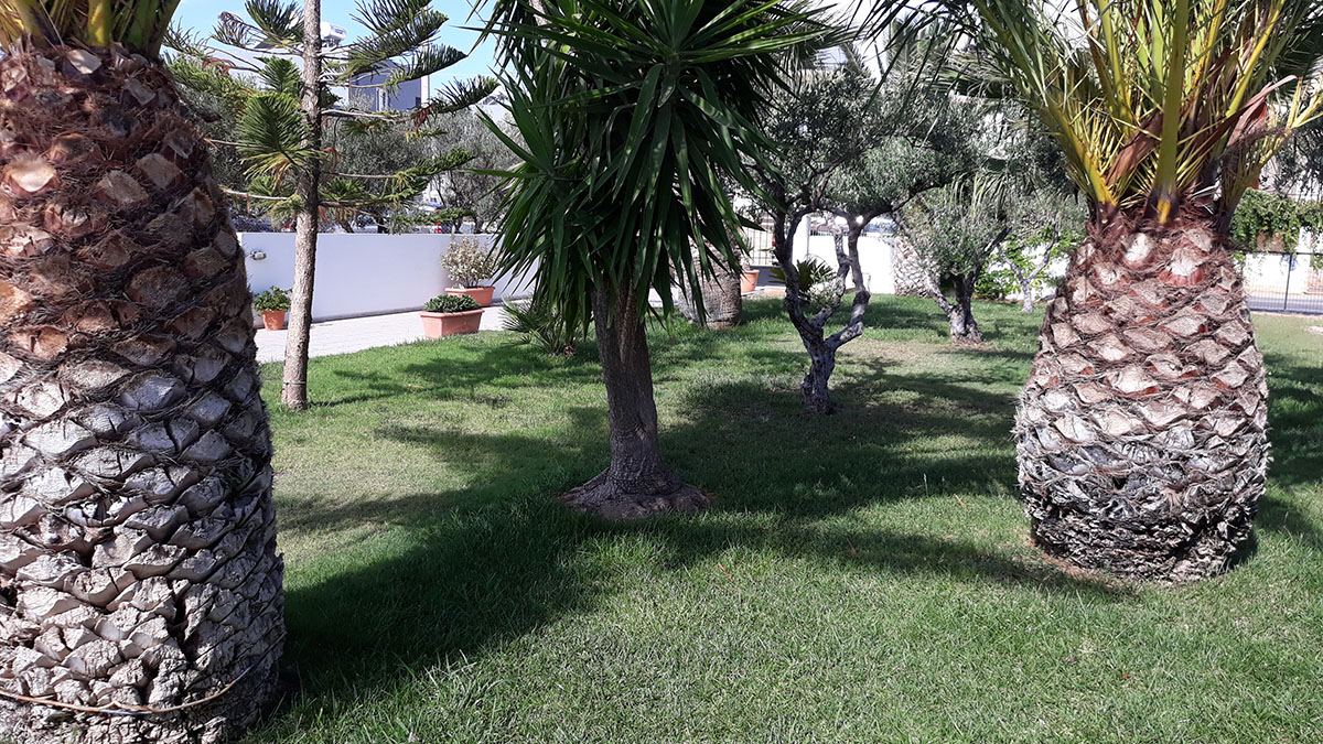 Elpida Apartments - NR