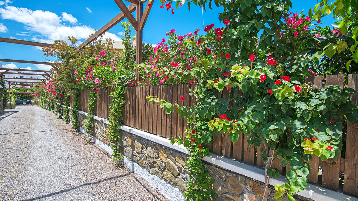 Horizon Line Villas - NR