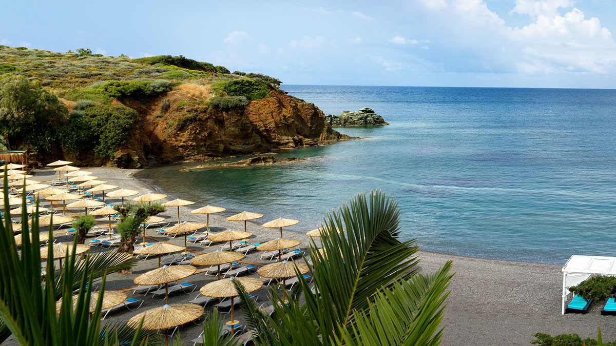 Out of the Blue Resort 