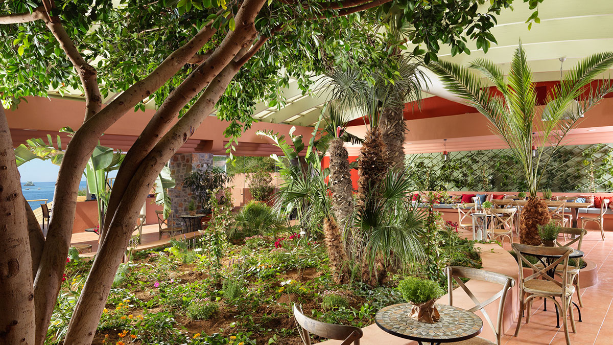 Out of the Blue Resort 