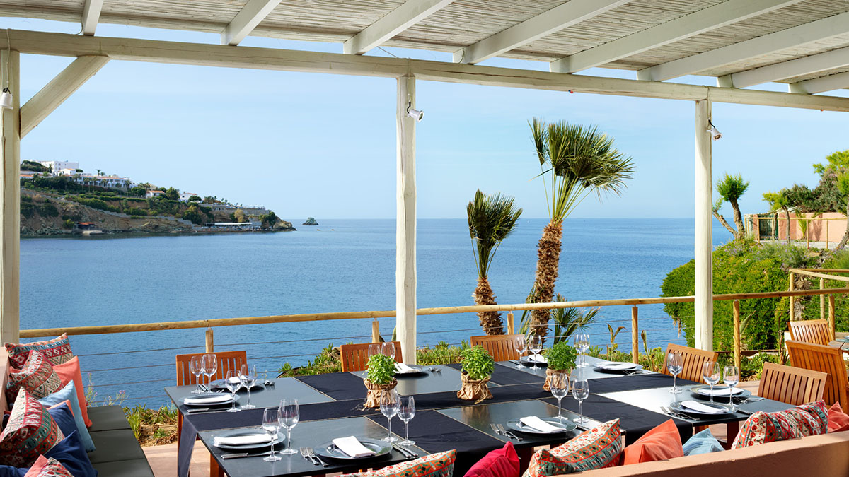 Out of the Blue Resort 