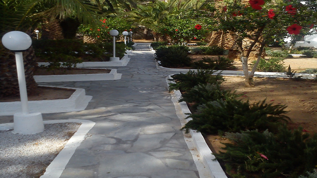 Avra Palm - NR