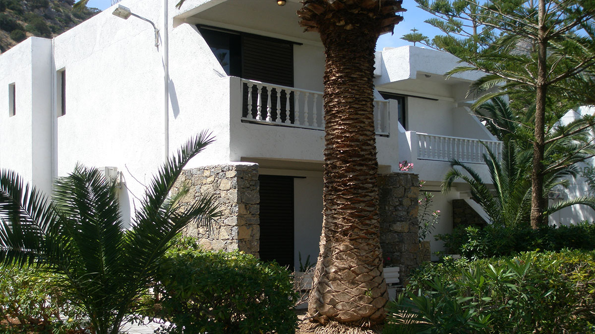Avra Palm - NR