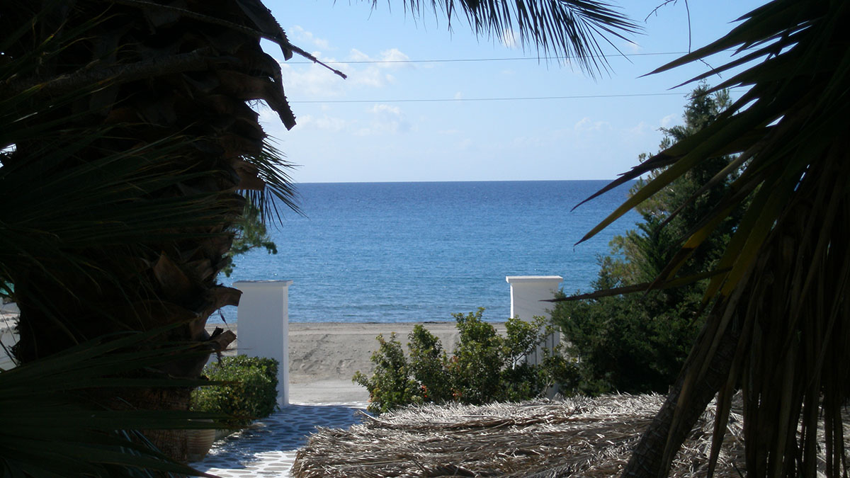 Avra Palm - NR