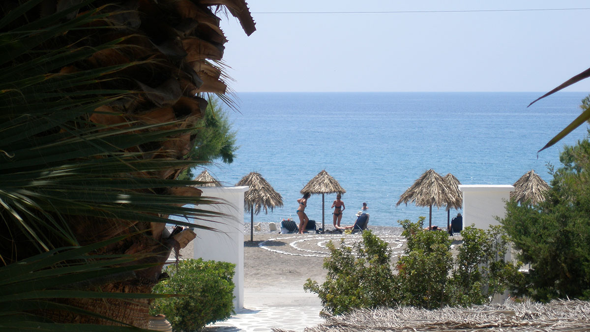 Avra Palm - NR