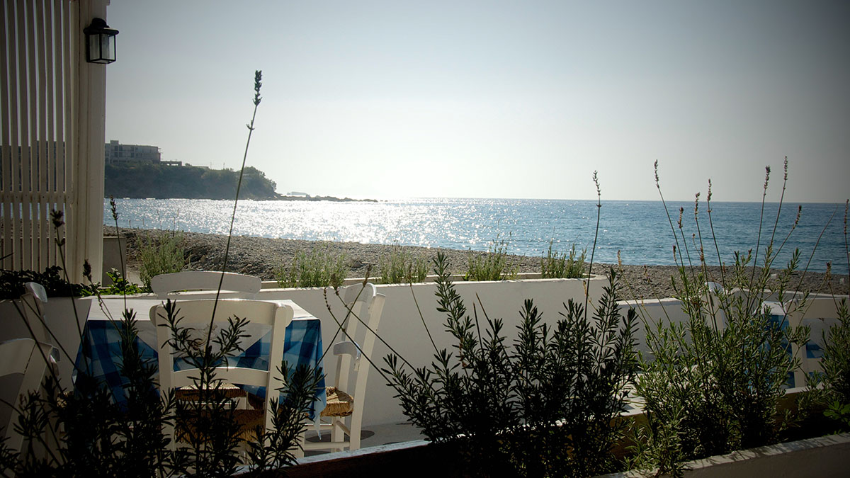 Avra Palm - NR