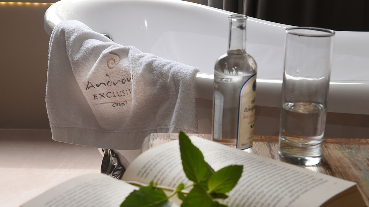 Andronis Athens Hotel - NR