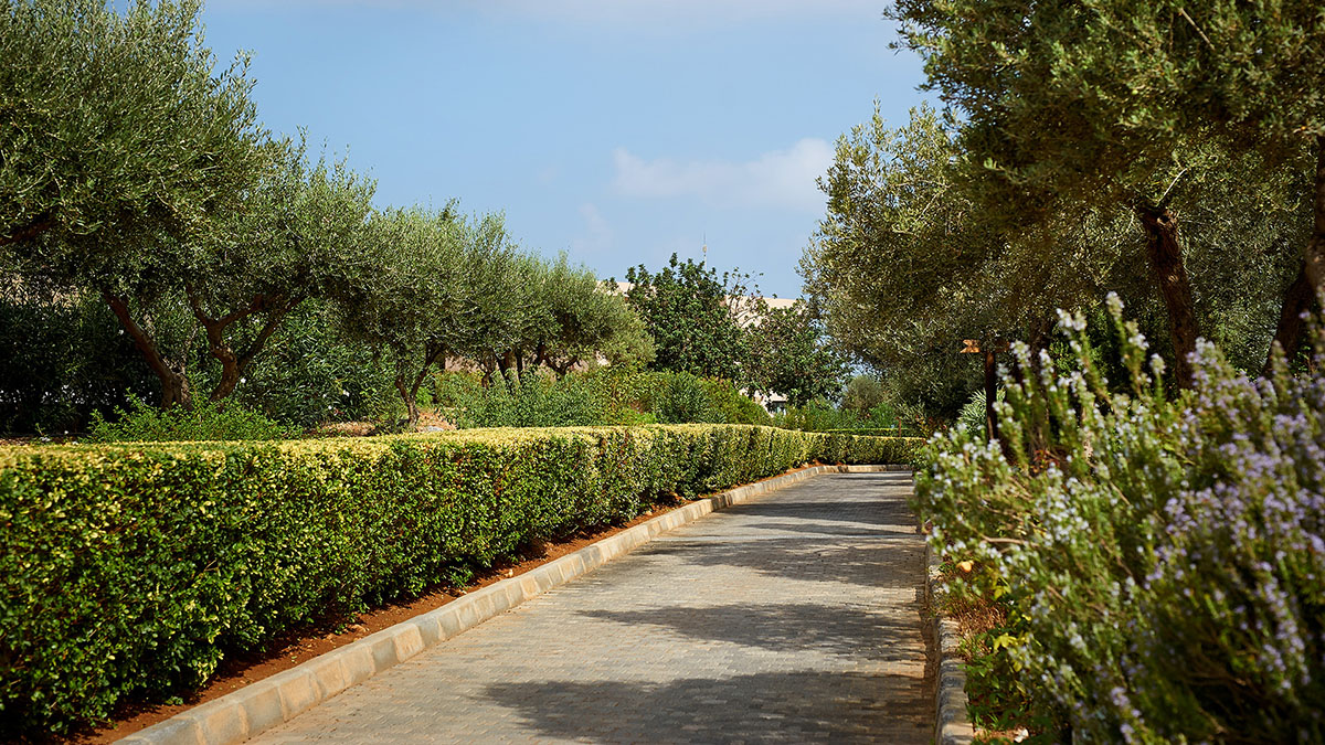 Village Heights  Resort - NR