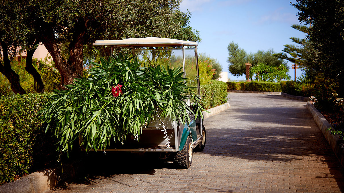 Village Heights  Resort - NR