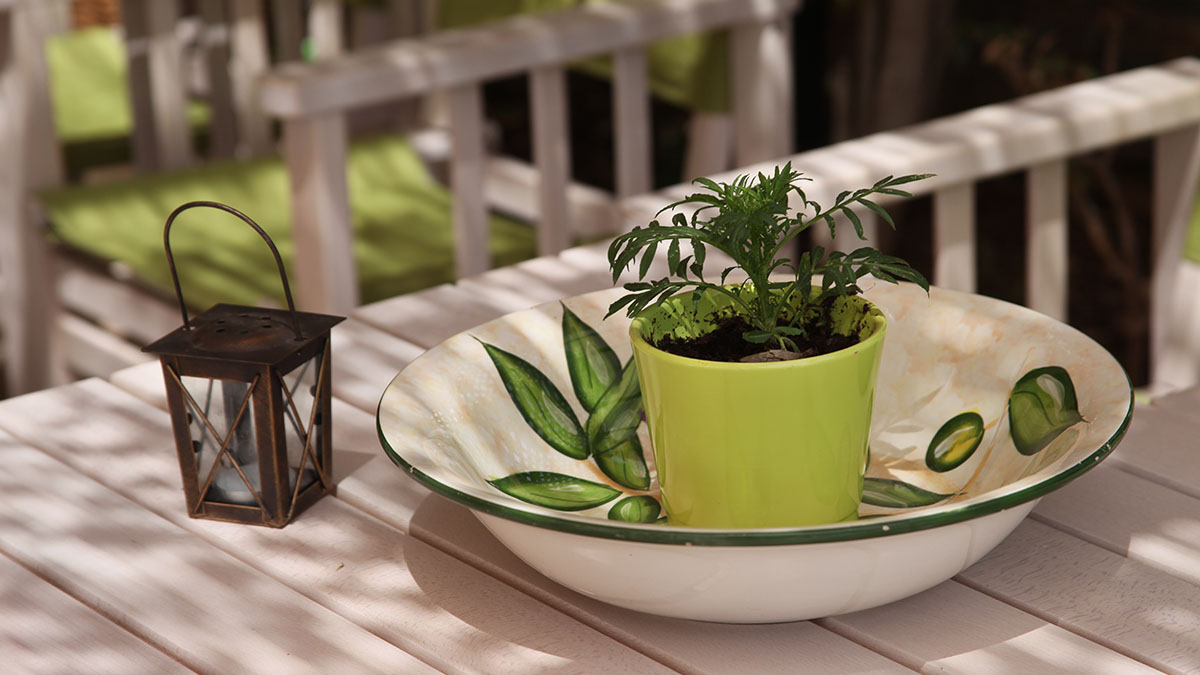 Elounda Olive Garden Studios - NR