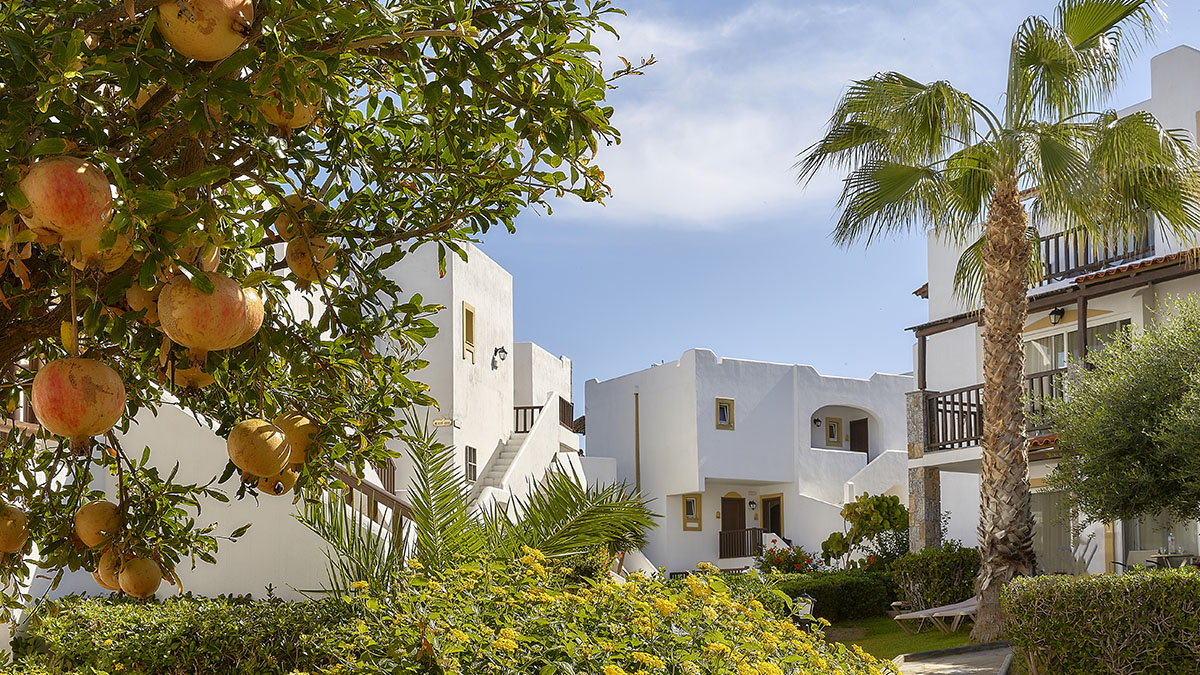 Alexander Beach Hotel & Village