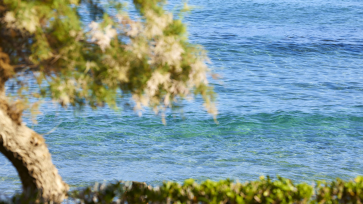 Alexander Beach Hotel & Village