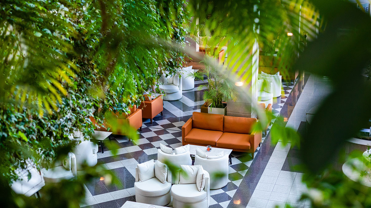 Louis Phaethon Beach - NR