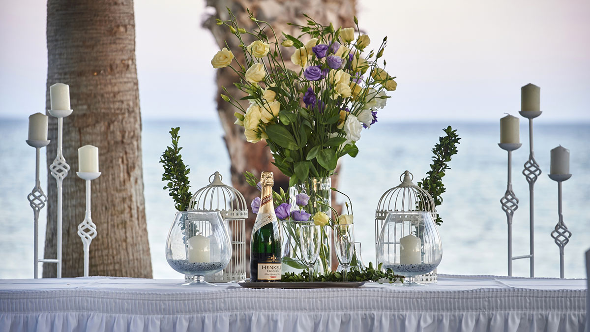 Louis Phaethon Beach - NR