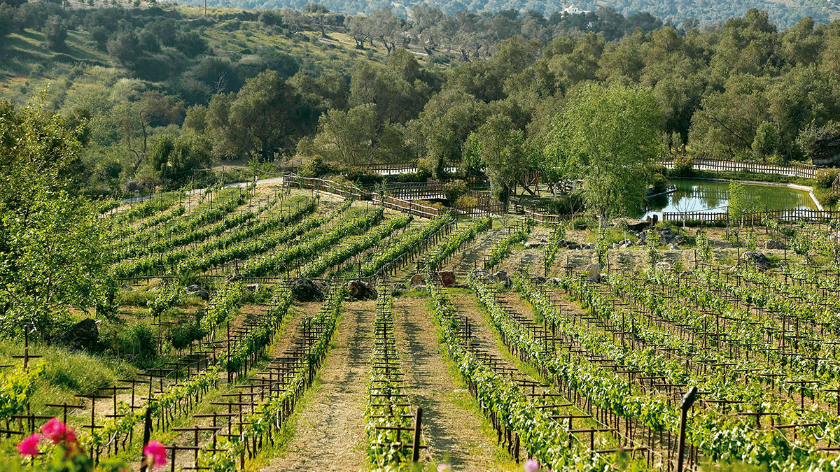 Grecotel Casa Adele (ex Grand Leoniki)