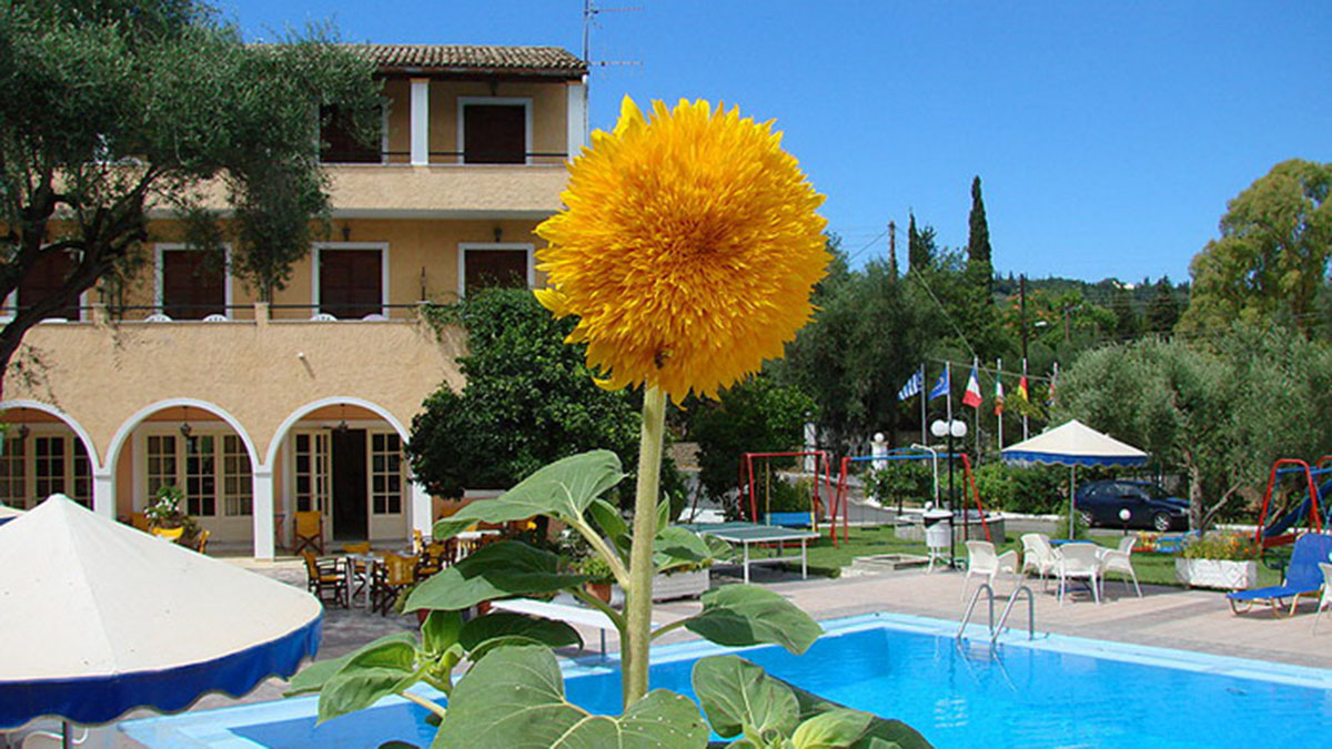 Bintzan Inn Hotel - NR