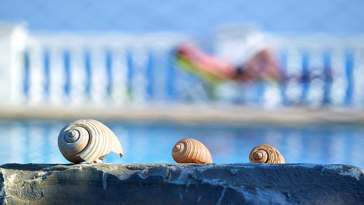 Aroma Creta Hotel Apartments and Spa - NR