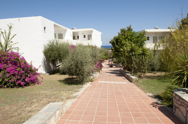 Dolfin Liza Mary - NR