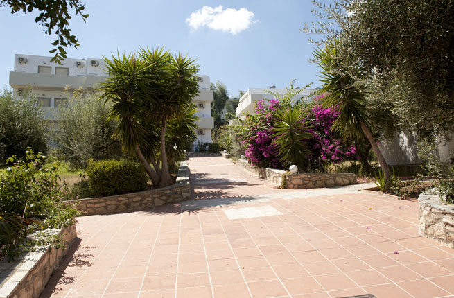 Dolfin Liza Mary - NR