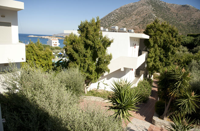 Dolfin Liza Mary - NR