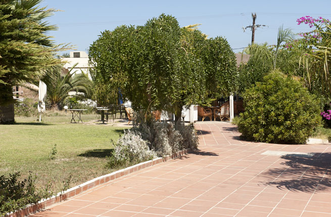 Dolfin Liza Mary - NR