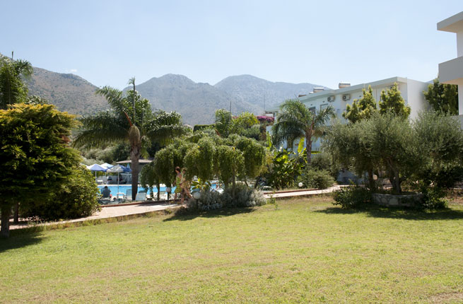 Dolfin Liza Mary - NR