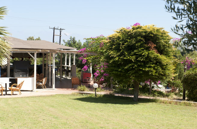 Dolfin Liza Mary - NR