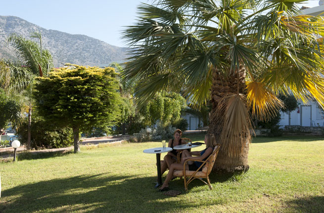 Dolfin Liza Mary - NR