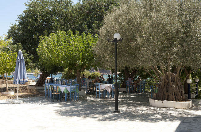 Dolfin Liza Mary - NR