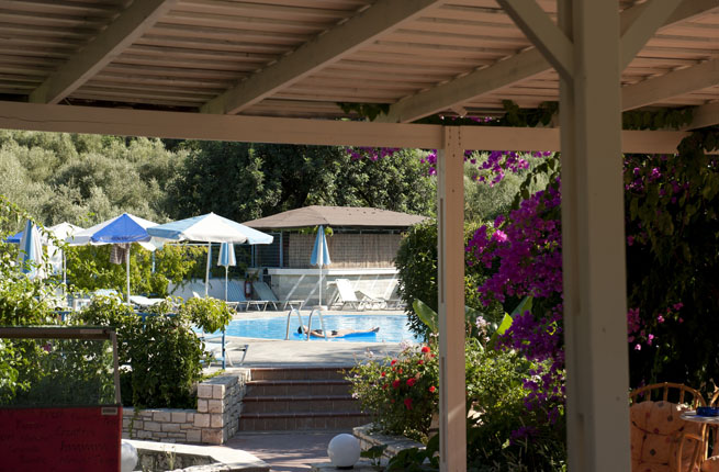 Dolfin Liza Mary - NR