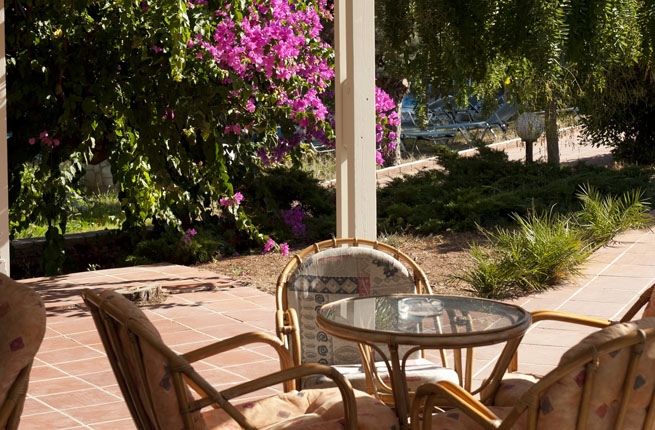 Dolfin Liza Mary - NR