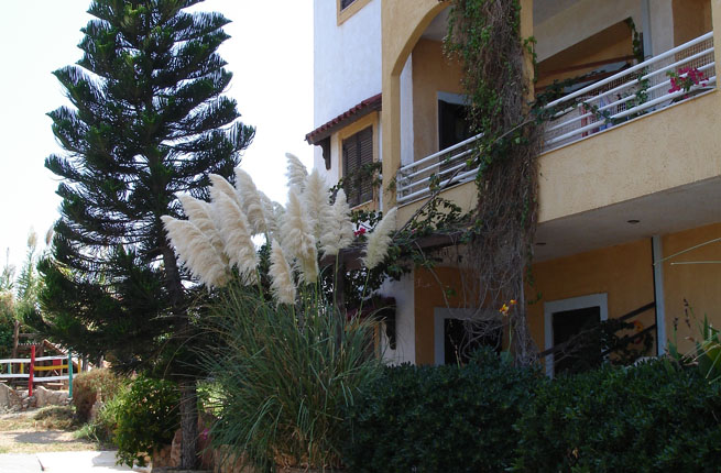 Iliostasi Beach Apartments - NR