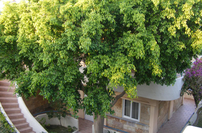 Sea Front Hotel Apartments - NR