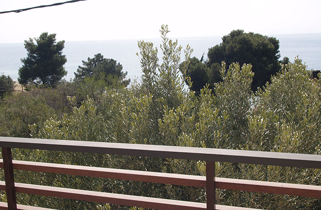 Albatros Maisonette - NR