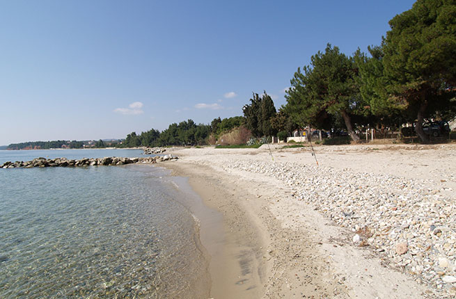 Albatros Maisonette - NR