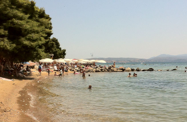 Loxandra Studios - NR