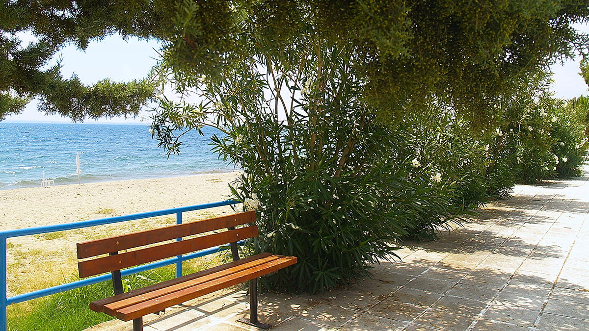 Village Mare Residence