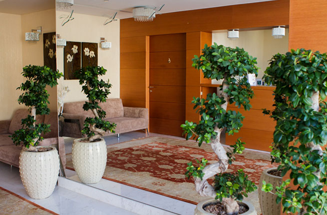 Bellevue On The Beach Suites