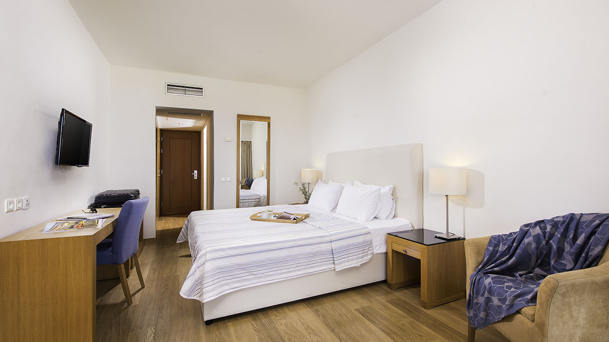 Deluxe Room Mountain View