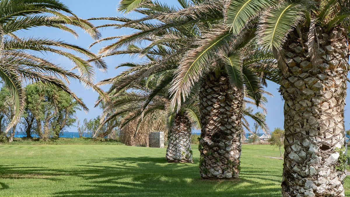 Bungalow Side Sea View for Single Use